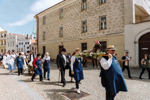Festival vína VOC Znojmo